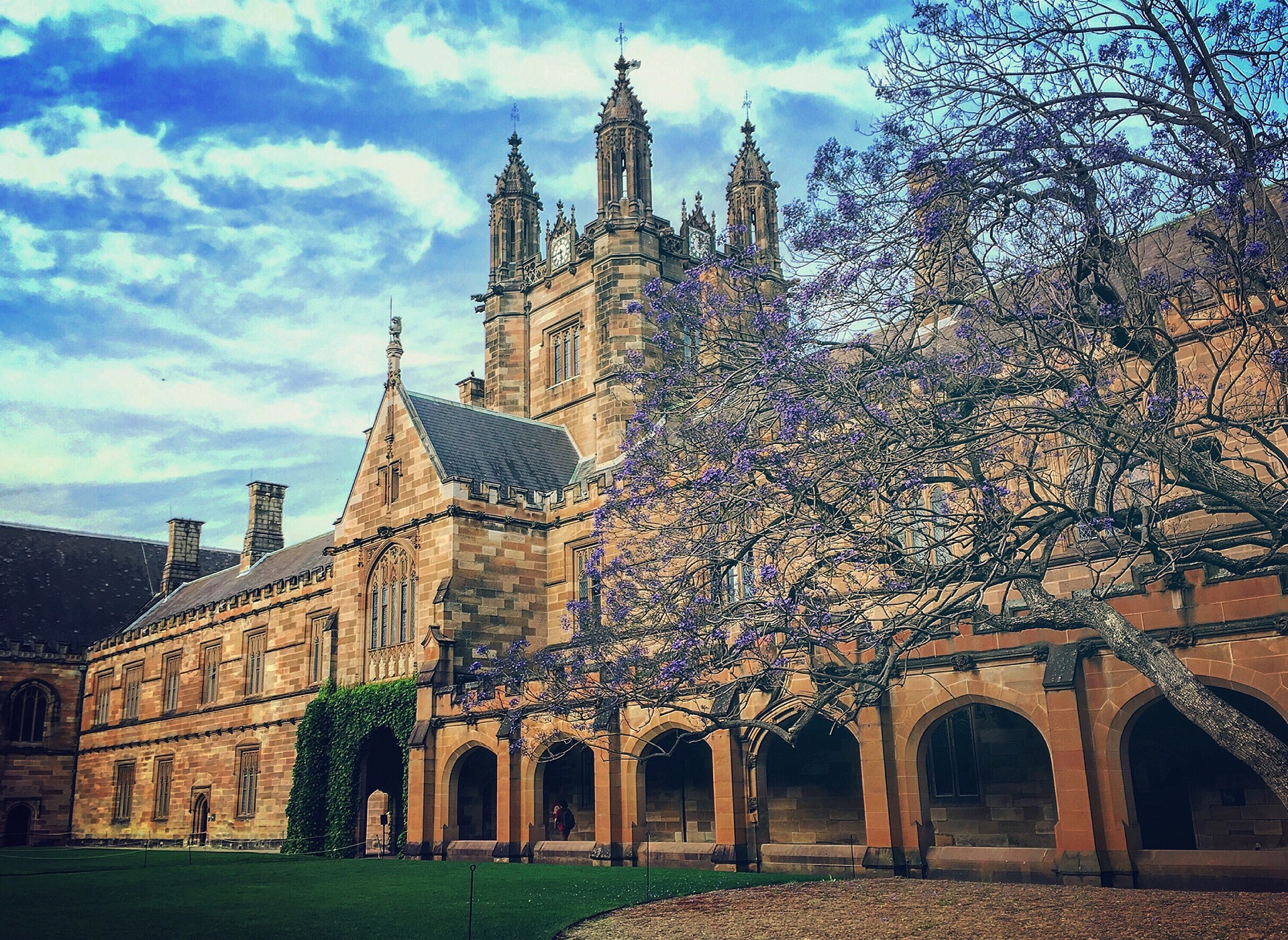 2019悉尼大学_旅游攻略_门票_地址_游记点评,悉尼旅游景点推荐 - 去哪儿攻略社区